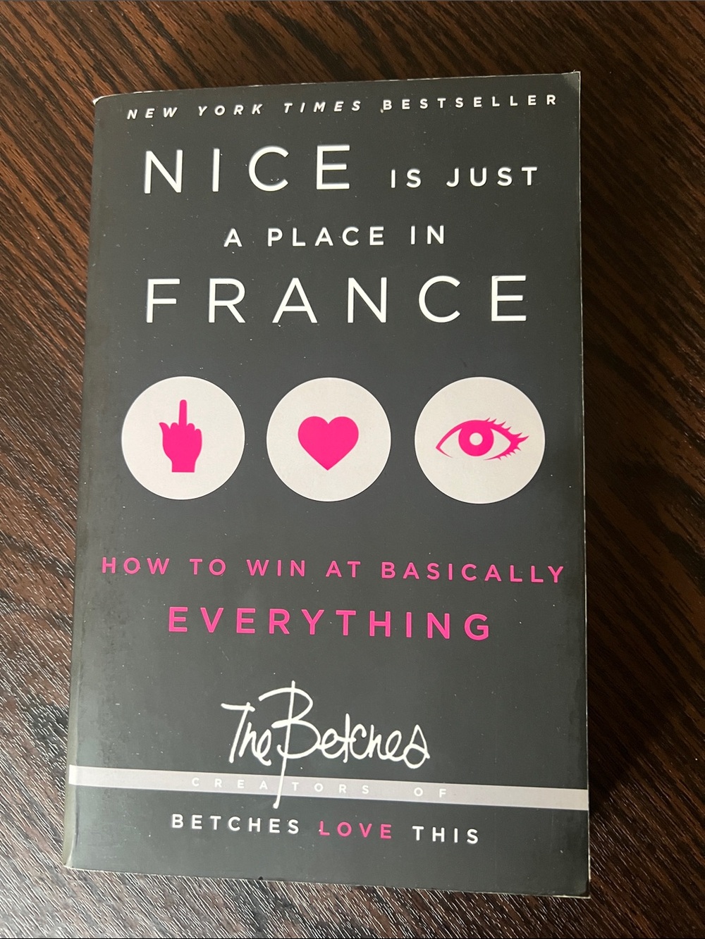 Nice Is Just a Place in France — Black and Pink Book